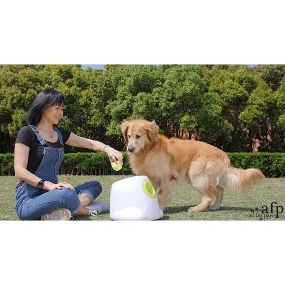 Automatic MAXI Dog Ball Thrower - Interactive Launcher, Fetch Toy NEW 6 BALLS - Picture 8 of 9